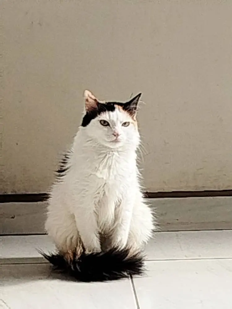 Luna