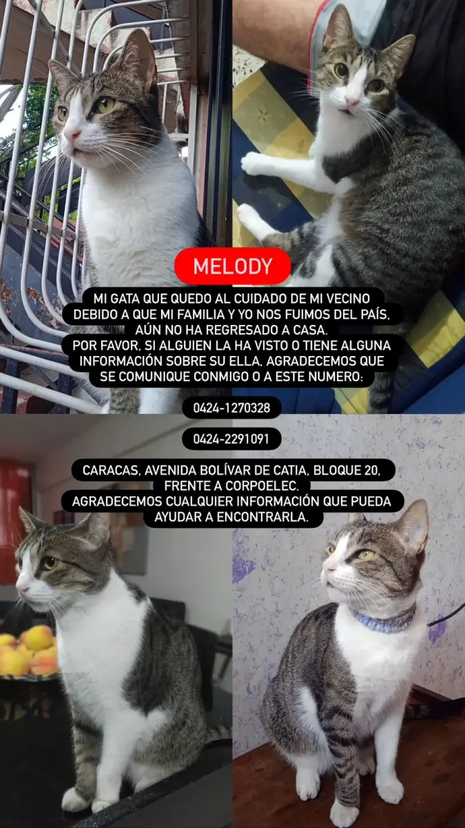 Melody