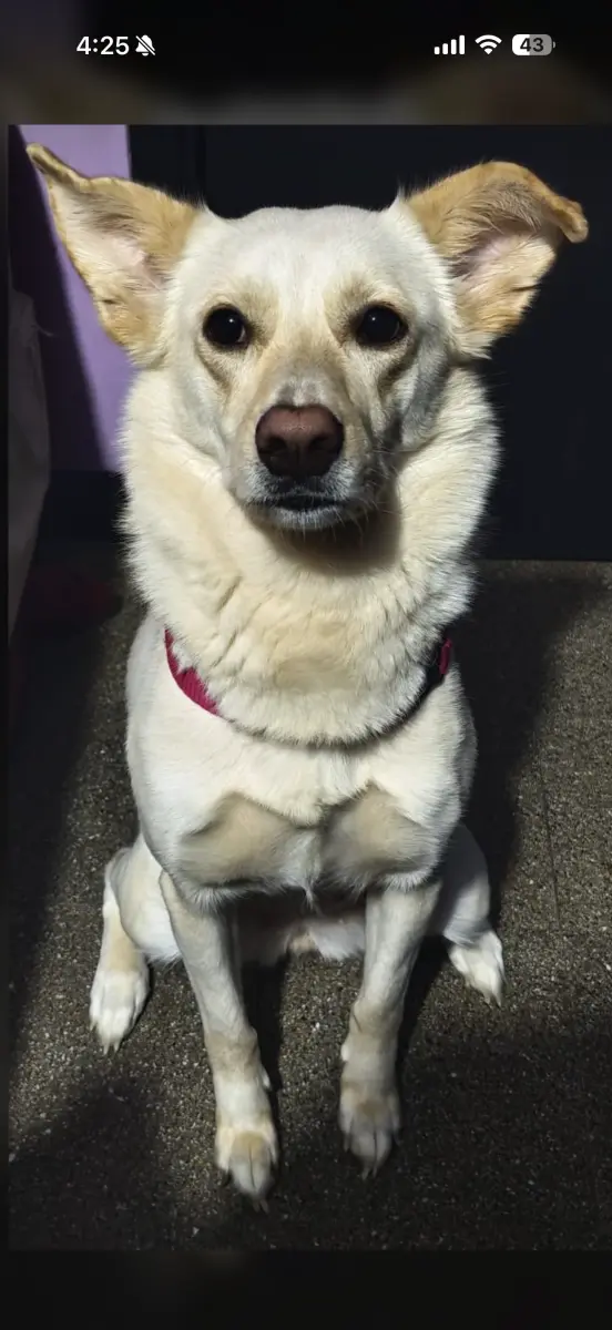 Alaska