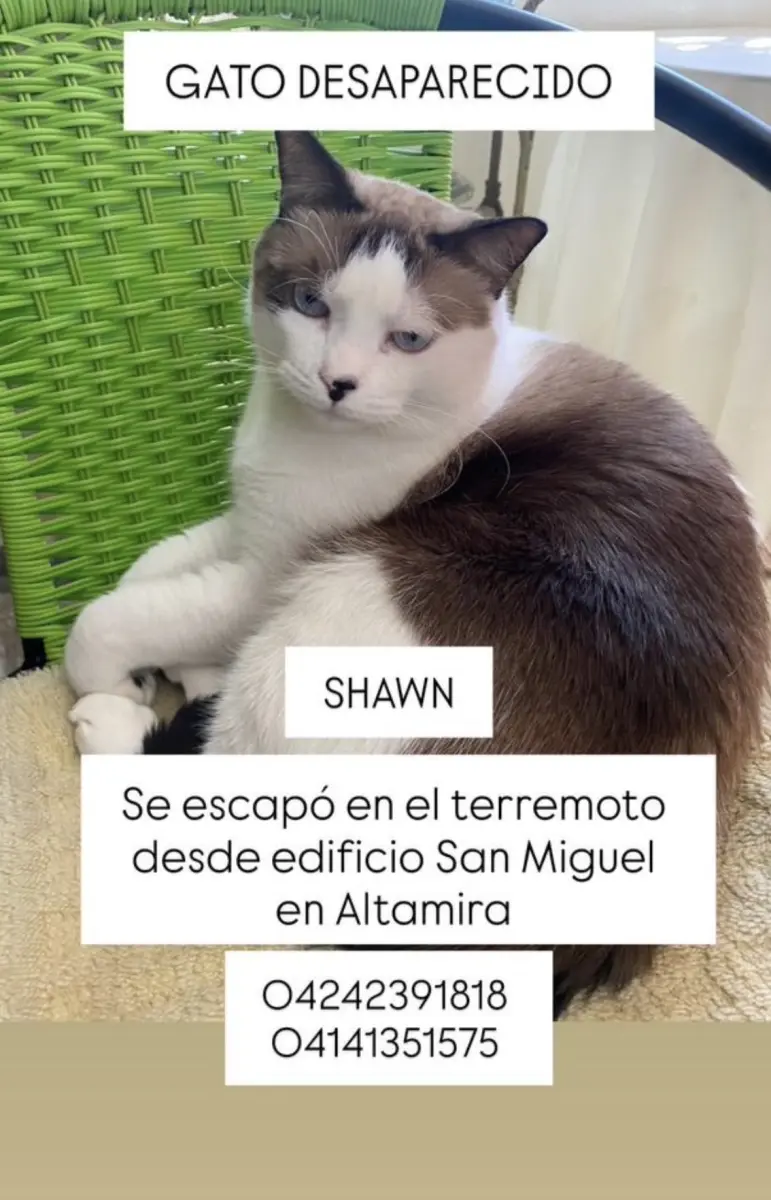 Shawn