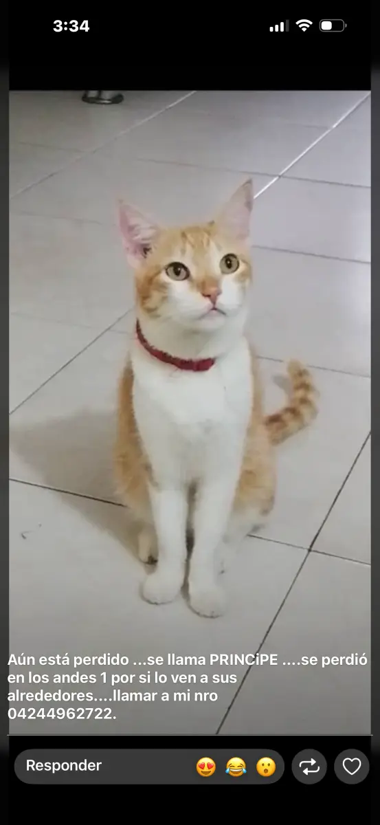 Príncipe
