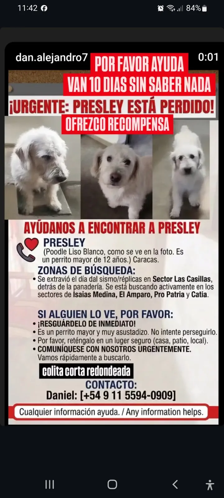 Presley — foto 2