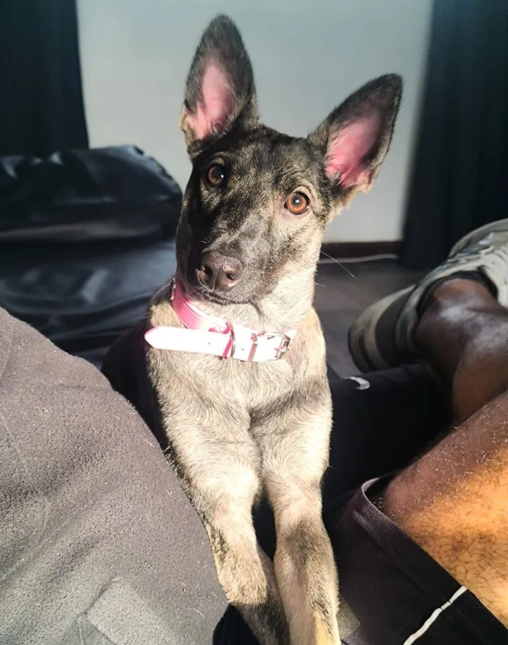 Niki — foto 3