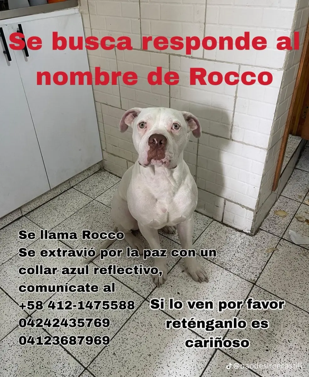 Rocco