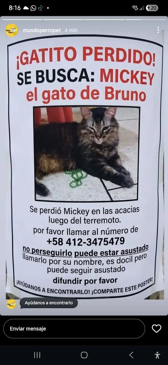 Mickey