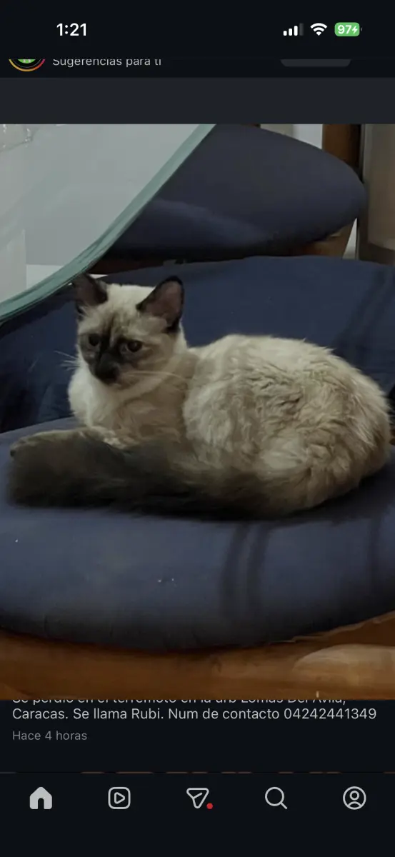 Rubí