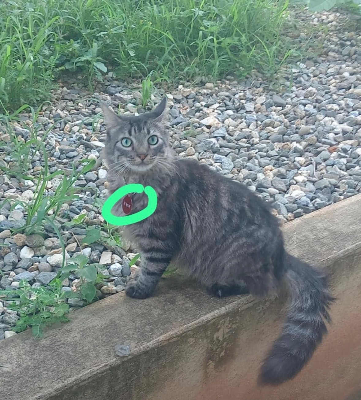 Maxy — foto 2