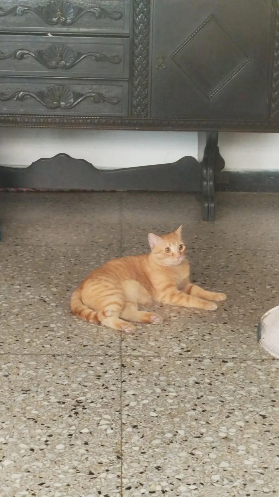 Filippo Sinam — foto 2