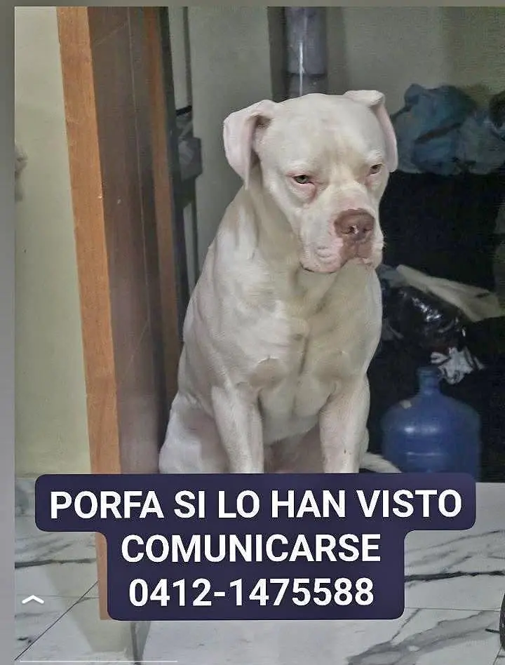 Roco