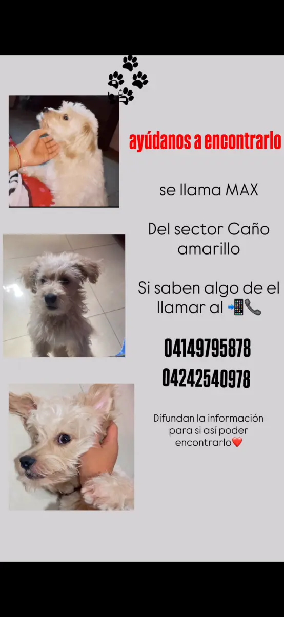 MAX