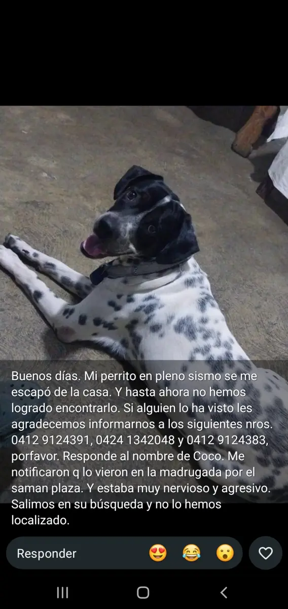 Coco