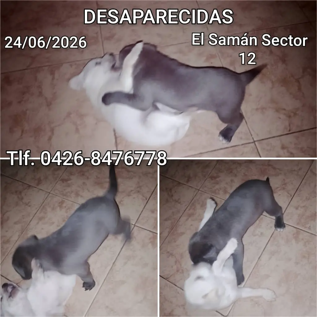 Perla y Zafiro
