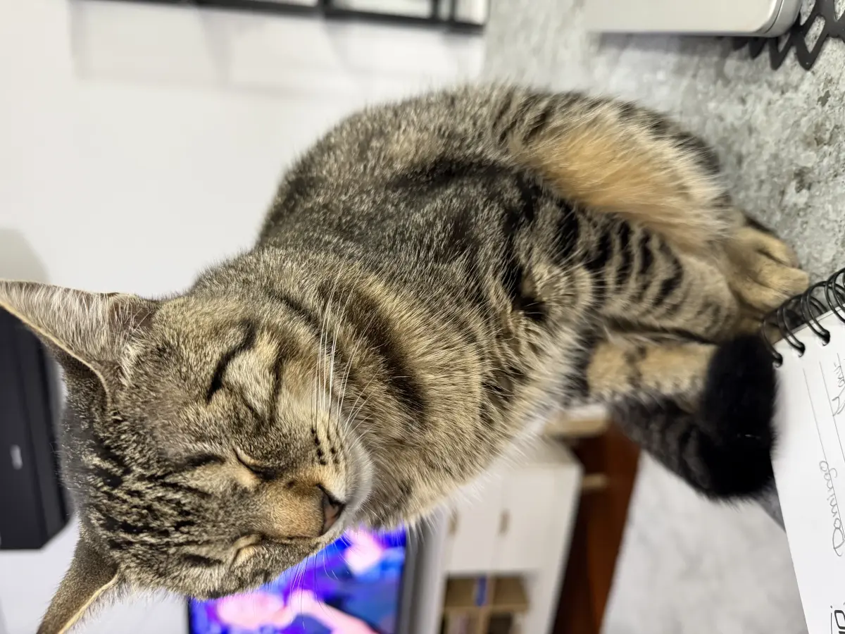 Milo