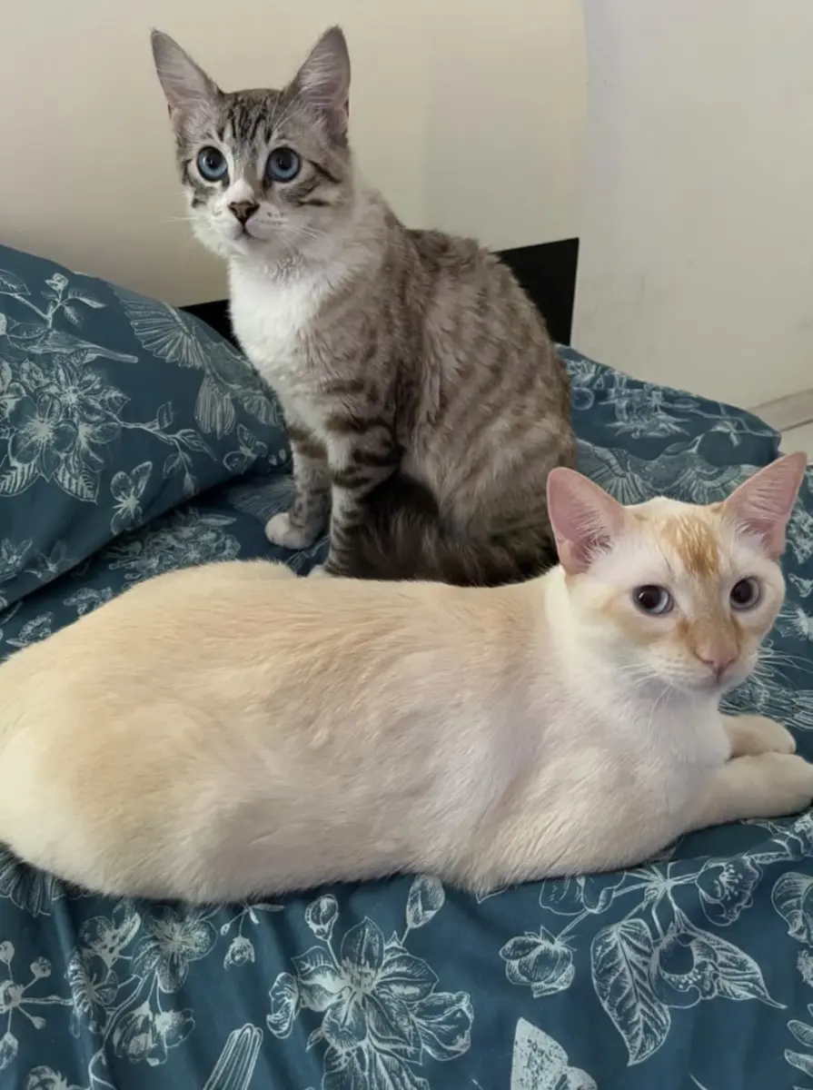 Rufino y charlie