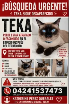 Teka