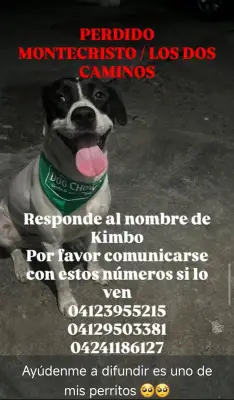 KIMBO