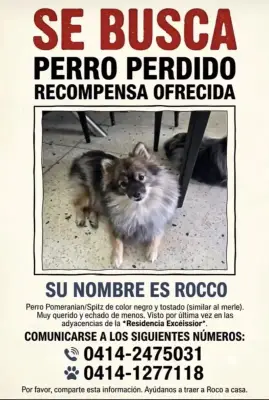 Foto de Rocco, reunida con su familia