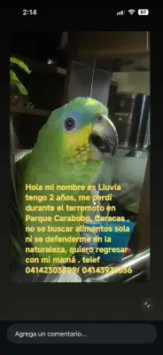 Lluvia