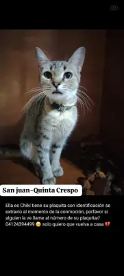 Chiky