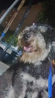 Maximiliano, responde a max