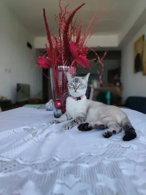 Kitty, reunida con su familia — foto 3