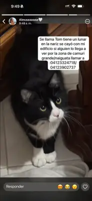 TOM