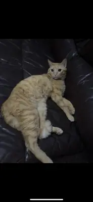 gatsy