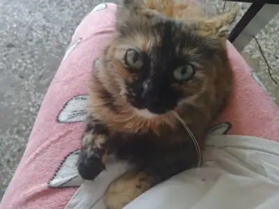 Moka