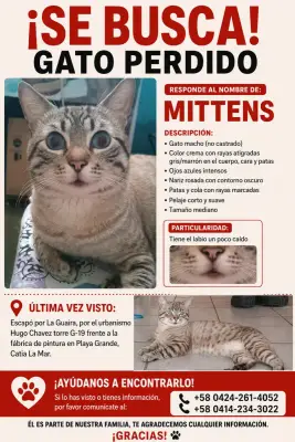 Mittens