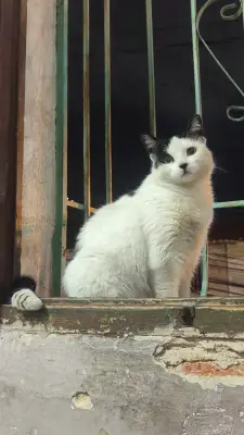 Foto de Phoebe (fibi), reunida con su familia