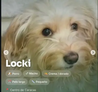 Foto de Locki, reunida con su familia