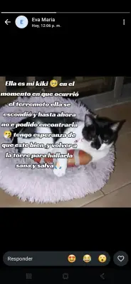 Kiki