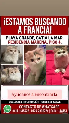 Foto de Francia, reunida con su familia