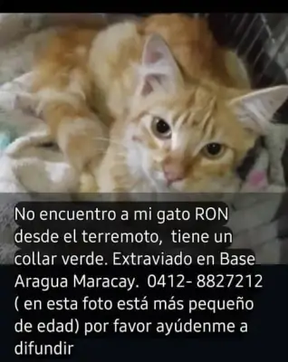 Ron