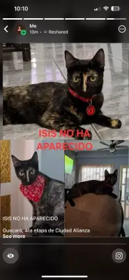 Isis