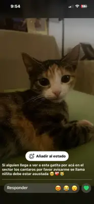 niñita