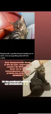 Alice Alias Michu