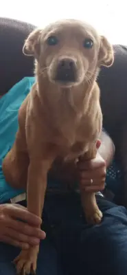 Foto de Nala, reunida con su familia