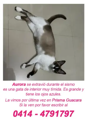 Aurora
