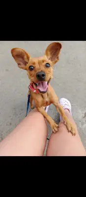 Tati