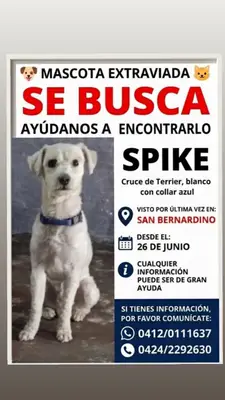 SPIKE