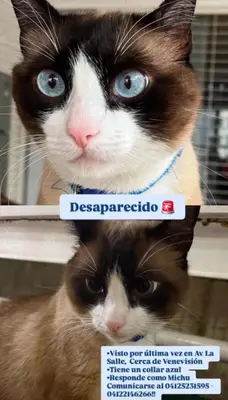 Michu