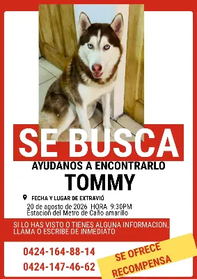 Tommy