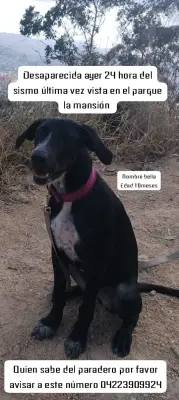 Bella