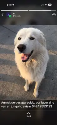 Foto de Thor, reunida con su familia