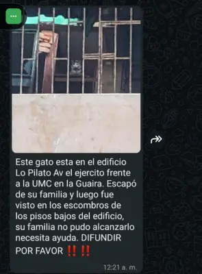 Dominique/Tito — foto 4