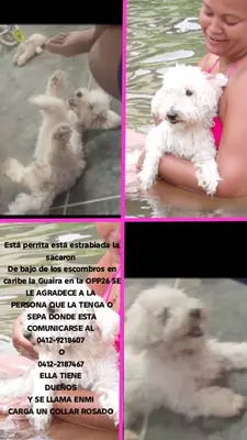 Emy