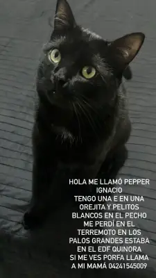 Foto de Pepper Ignacio, reunida con su familia