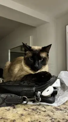 Freya