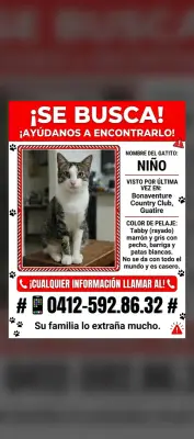 Niño Esculpi